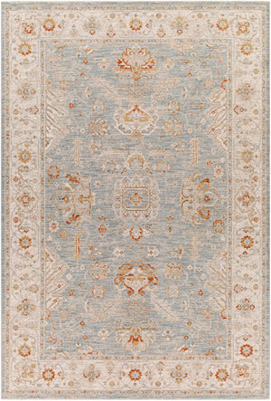 Avant Garde AVT-2318 Traditional Polyester, Polypropylene Rug AVT2318-6796 Denim, Sage, Burnt Orange, Olive, Mustard, Medium Gray, Light Gray, Beige 90% Polyester, 10% Polypropylene 6'7" x 9'6"