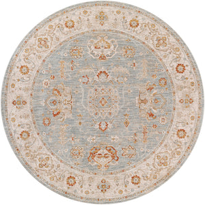 Avant Garde AVT-2318 Traditional Polyester, Polypropylene Rug AVT2318-710RD Denim, Sage, Burnt Orange, Olive, Mustard, Medium Gray, Light Gray, Beige 90% Polyester, 10% Polypropylene 7'10" Round