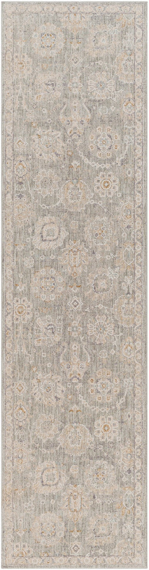 Surya Avant Garde Traditional AVT-2335 Rug AVT2335-2710