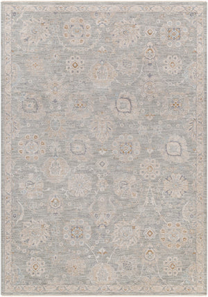 Surya Avant Garde Traditional AVT-2335 Rug AVT2335-6796