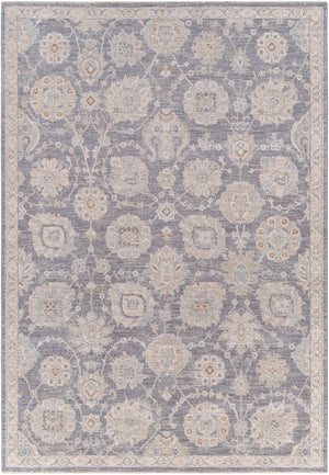 Surya Avant Garde Traditional AVT-2336 Rug AVT2336-6796