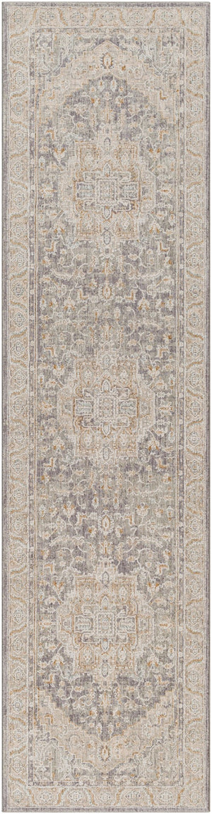 Surya Avant Garde Traditional AVT-2337 Rug AVT2337-2710