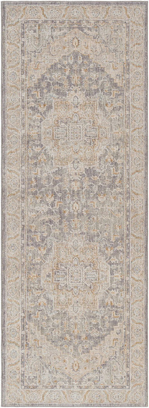 Surya Avant Garde Traditional AVT-2337 Rug AVT2337-2773