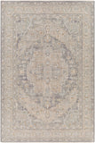 Avant Garde Traditional AVT-2337 Rug