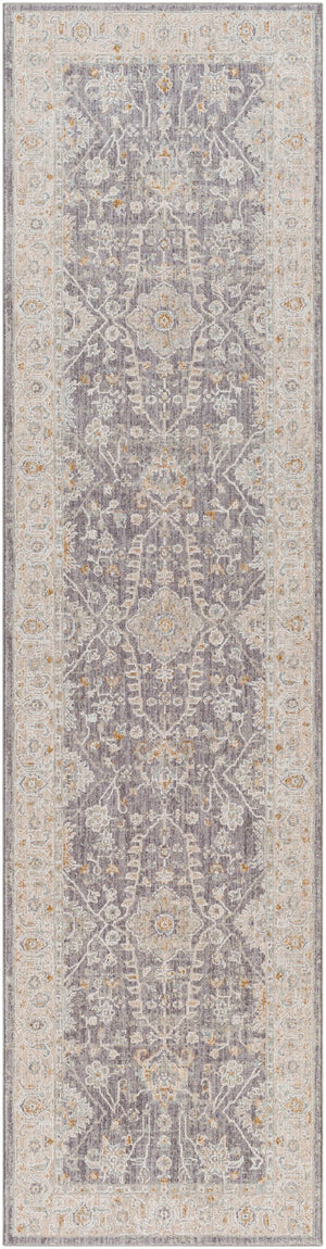 Surya Avant Garde Traditional AVT-2338 Rug AVT2338-2773