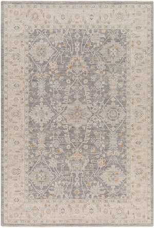 Surya Avant Garde Traditional AVT-2338 Rug AVT2338-9122