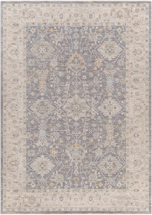 Surya Avant Garde Traditional AVT-2338 Rug AVT2338-6796