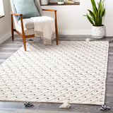 Azalea AZA-2301 Global Recycled PET Yarn Rug AZA2301-81012 Medium Gray, Black, Ivory 100% Recycled PET Yarn 8'10" x 12'