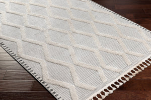 Surya Azilal Global AZI-2317 Rug AZI2317-9212