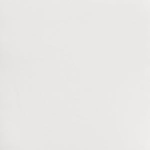 Zuo Modern Javier 100% Polyurethane, Plywood, Steel Modern Commercial Grade Accent Chair White, Black 100% Polyurethane, Plywood, Steel