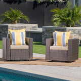 Puerta Outdoor Dark Brown Wicker Swivel Club Chairs with Beige Water Resistant Cushions Noble House