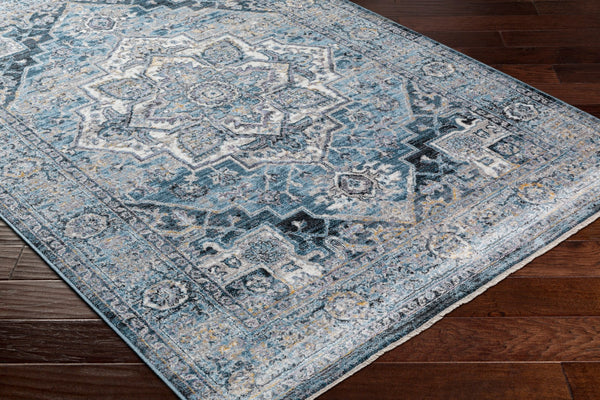 Surya Babel Traditional BAB-2301 Rug BAB2301-9613