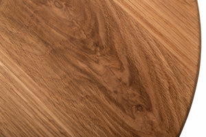 VIG Furniture Modrest Bacone - Industrial Oak and Black Iron End Table VGAFFV19-ST1