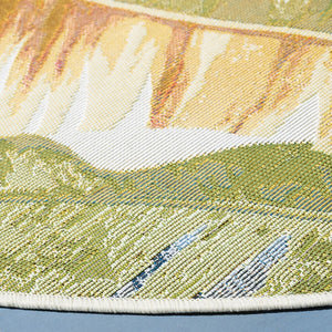 Safavieh Barbados 520 Power Loomed 76% Polypropylene/23% Polyester 1% Backing material Outdoor Rug BAR520C-9