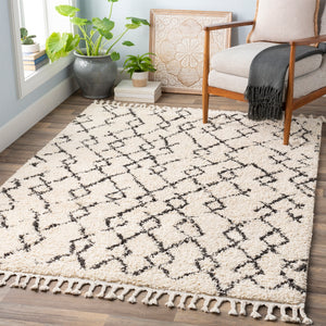 Berber Shag BBE-2301 Global Polypropylene Rug BBE2301-9212 Charcoal, Beige 100% Polypropylene 9' x 12'
