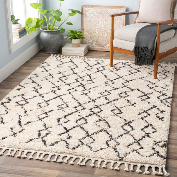 Berber Shag BBE-2301 Global Polypropylene Rug BBE2301-9212 Charcoal, Beige 100% Polypropylene 9' x 12'