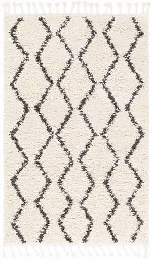 Berber Shag BBE-2303 Global Polypropylene Rug BBE2303-35 Charcoal, Beige 100% Polypropylene 3'1" x 4'11"