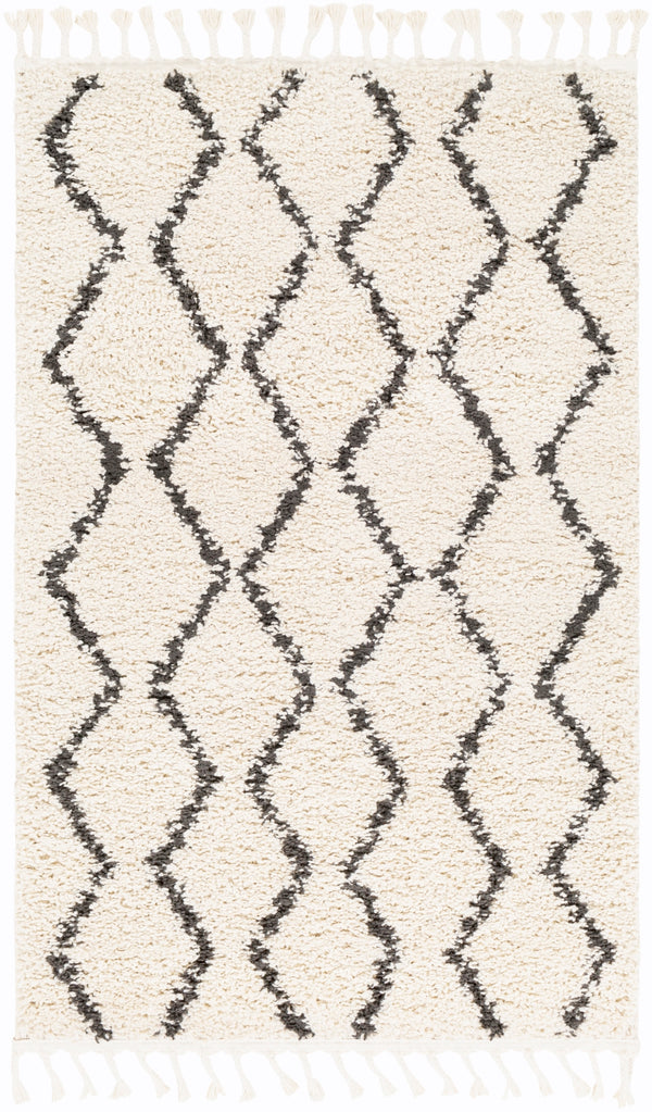 Berber Shag BBE-2303 Global Polypropylene Rug BBE2303-35 Charcoal, Beige 100% Polypropylene 3'1" x 4'11"