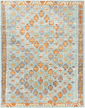 Bodrum BDM-2317 Global Polypropylene Rug BDM2317-71010 Ivory, Burnt Orange, Saffron, Silver Gray, Medium Gray, Aqua, Camel, Pale Blue, Moss, Burgundy 100% Polypropylene 7'10" x 10'