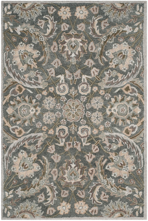 Safavieh Bella 923 Hand Tufted Viscose Rug BEL923B-24