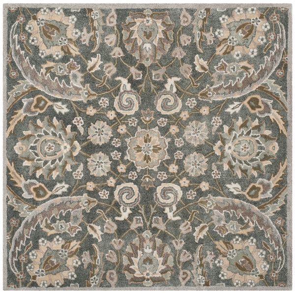 Safavieh Bella 923 Hand Tufted Viscose Rug BEL923B-24