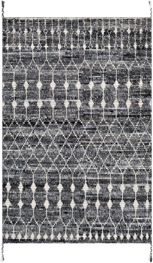 Birch BHC-2301 Global Recycled PET Yarn Rug BHC2301-81012 Charcoal, Medium Gray, Taupe, Light Gray, Cream 100% Recycled PET Yarn 8'10" x 12'