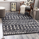 Birch BHC-2301 Global Recycled PET Yarn Rug BHC2301-81012 Charcoal, Medium Gray, Taupe, Light Gray, Cream 100% Recycled PET Yarn 8'10" x 12'