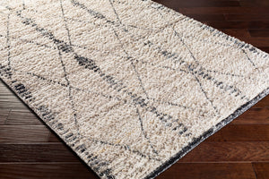 Surya Birch Global BHC-2302 Rug BHC2302-1215
