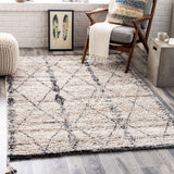 Birch BHC-2302 Global Recycled PET Yarn Rug BHC2302-81012 Khaki, Cream, Taupe, Medium Gray, Charcoal 100% Recycled PET Yarn 8'10" x 12'