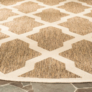 Safavieh Beach House 122 PowerLoomed 100% Polypropylene Pile Indoor/ Outdoor Rug BHS122D-9