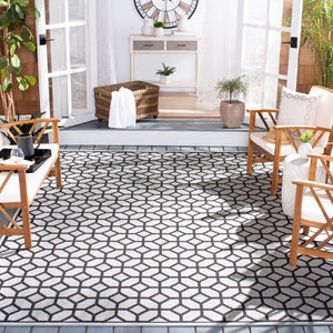 Safavieh Beach House 127 PowerLoomed 100% Polypropylene Pile Indoor/ Outdoor Rug BHS127A-6SQ