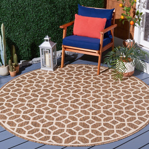 Safavieh Beach House 127 PowerLoomed 100% Polypropylene Pile Indoor/ Outdoor Rug BHS127D-5