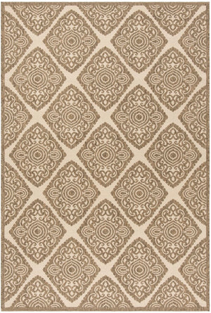 Safavieh Beach House 132 POWER LOOMED POLYPROPYLENE Indoor/ Outdoor Rug BHS132C-26