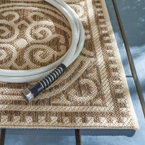 Safavieh Beach House 134 PowerLoomed 100% Polypropylene Pile Indoor/ Outdoor Rug BHS134C-5