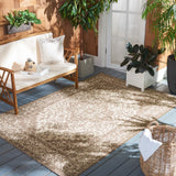 Safavieh Beach House 137 PowerLoomed 100% Polypropylene Pile Indoor/ Outdoor Rug BHS137C-5