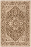 Safavieh Beach House 137 PowerLoomed 100% Polypropylene Pile Indoor/ Outdoor Rug BHS137D-5