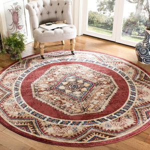 Safavieh Bijar 647 Power Loomed Polypropylene Transitional Rug BIJ647R-3