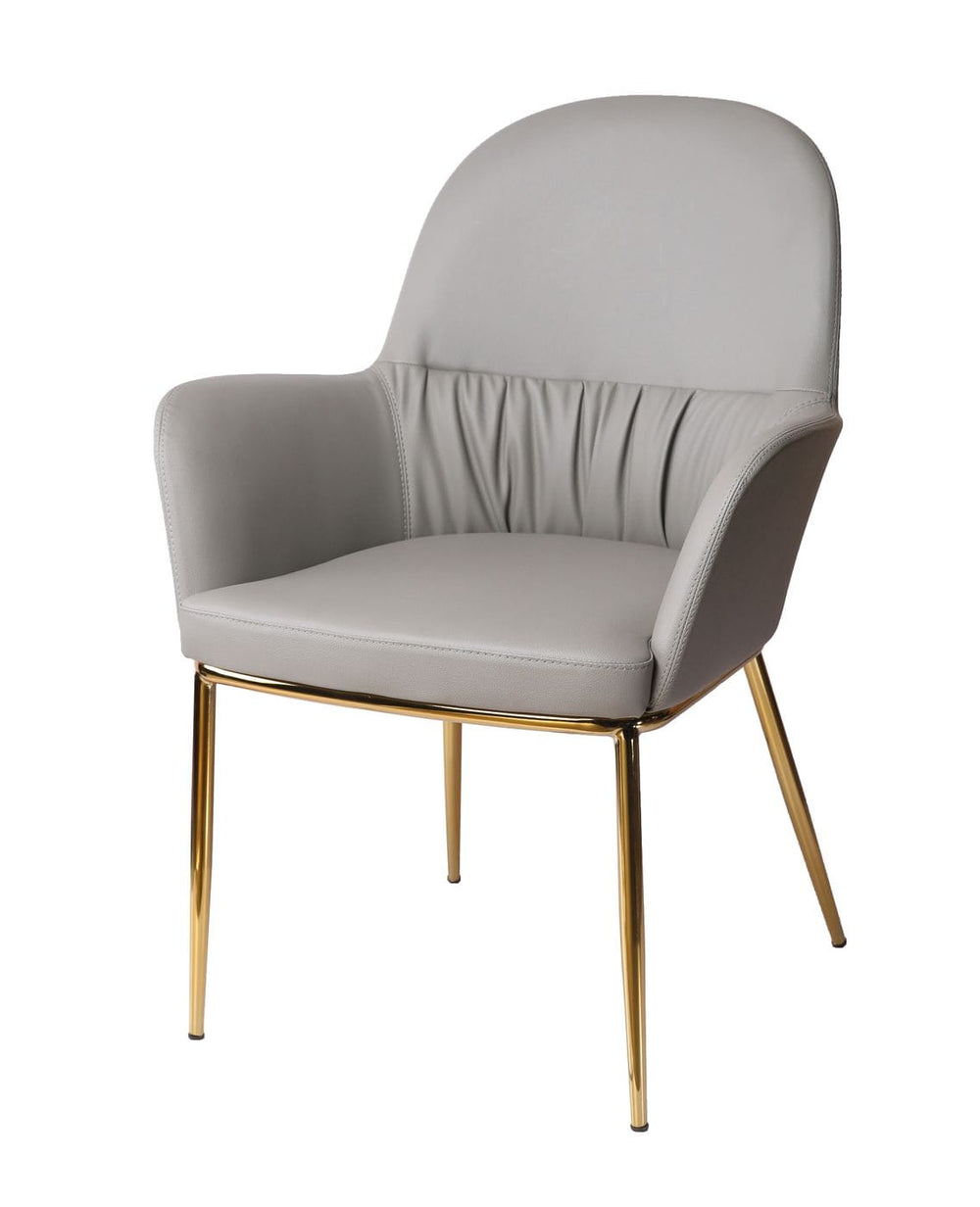 VIG Furniture Modrest Blanton - Modern Grey Leatherette & Gold Accent Chair VGOBTY148-GRY-CH