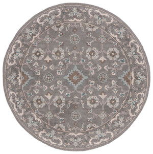 Safavieh Blossom 218 Hand Tufted Wool Rug BLM218A-6SQ