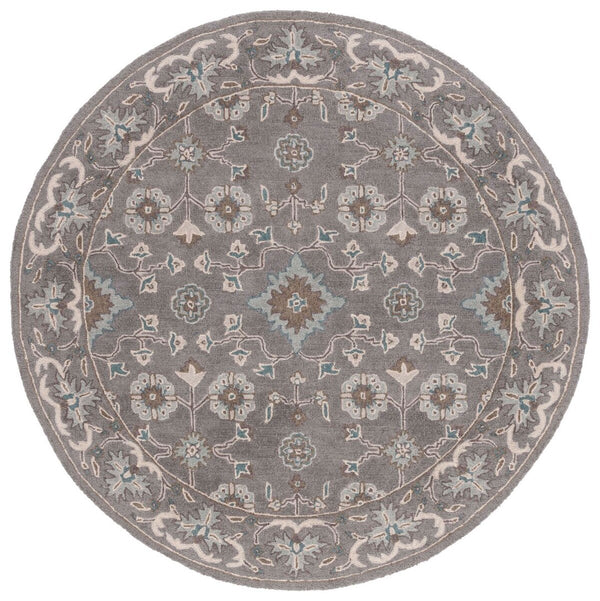 Safavieh Blossom 218 Hand Tufted Wool Rug BLM218A-6SQ
