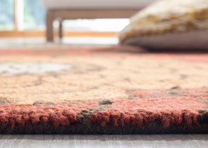 Safavieh Exploded BLM552 Hand Hooked Rug