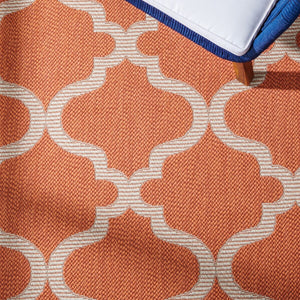 Safavieh Bermuda 810 Indoor/ Outdoor Power Loomed Polypropylene Frize Rug BMU810P-9