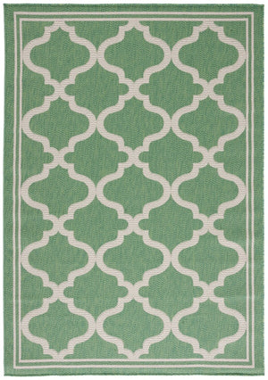 Safavieh Bermuda 810 Indoor/ Outdoor Power Loomed Polypropylene Frize Rug BMU810Y-9