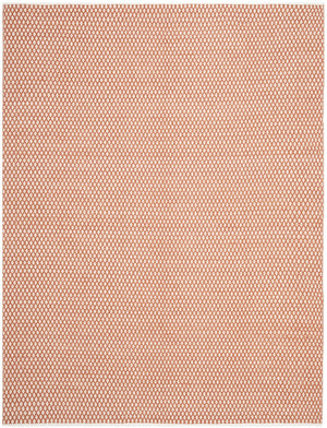 Safavieh Boston 685 Flat Weave Cotton Rug BOS685C-4SQ