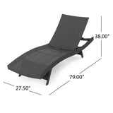 Salem Outdoor Grey Wicker Adjustable Chaise Lounge with Beige Cushion Noble House