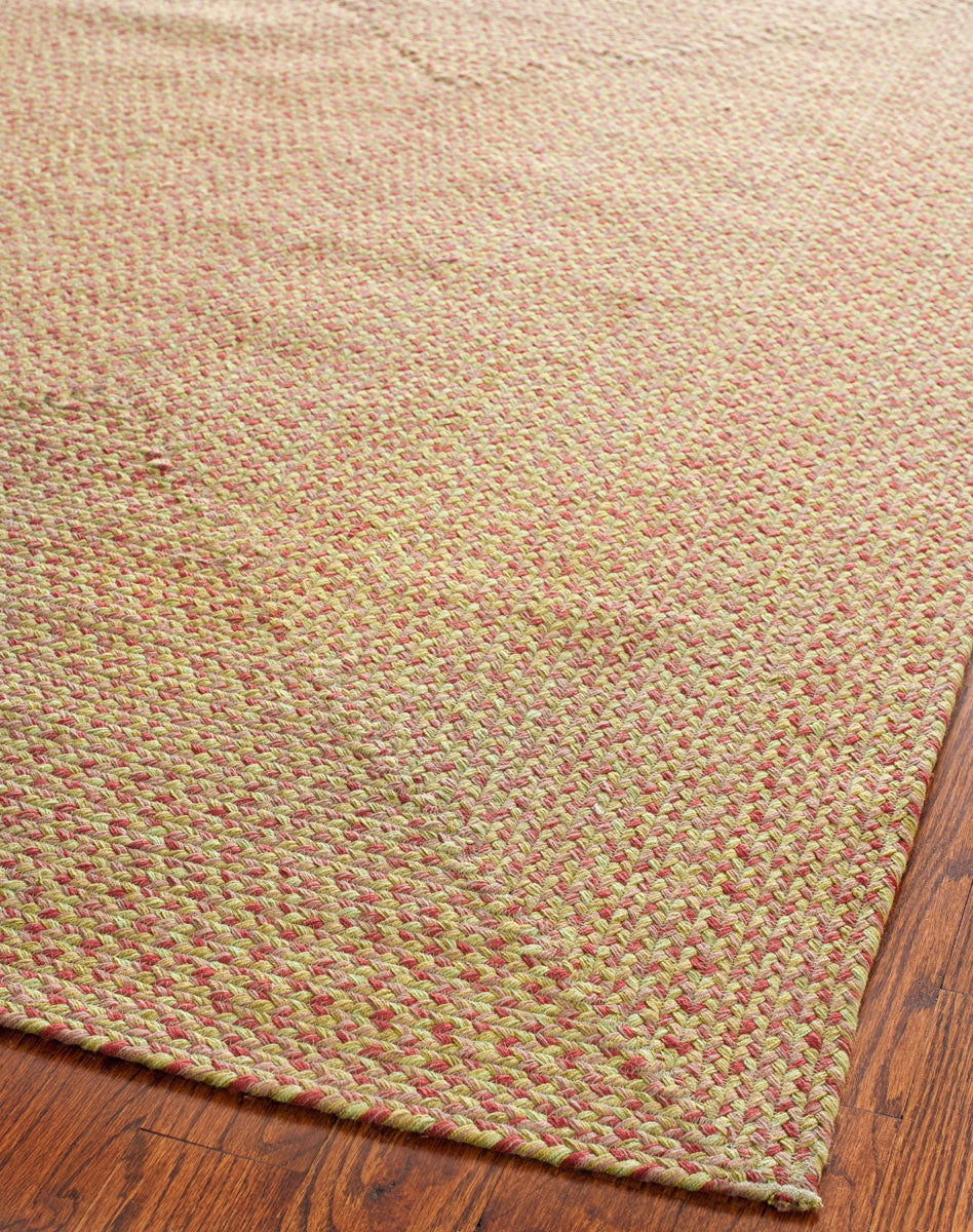 Safavieh Braided BRD164 Rug