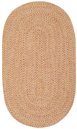 Safavieh Braided BRD164 Rug