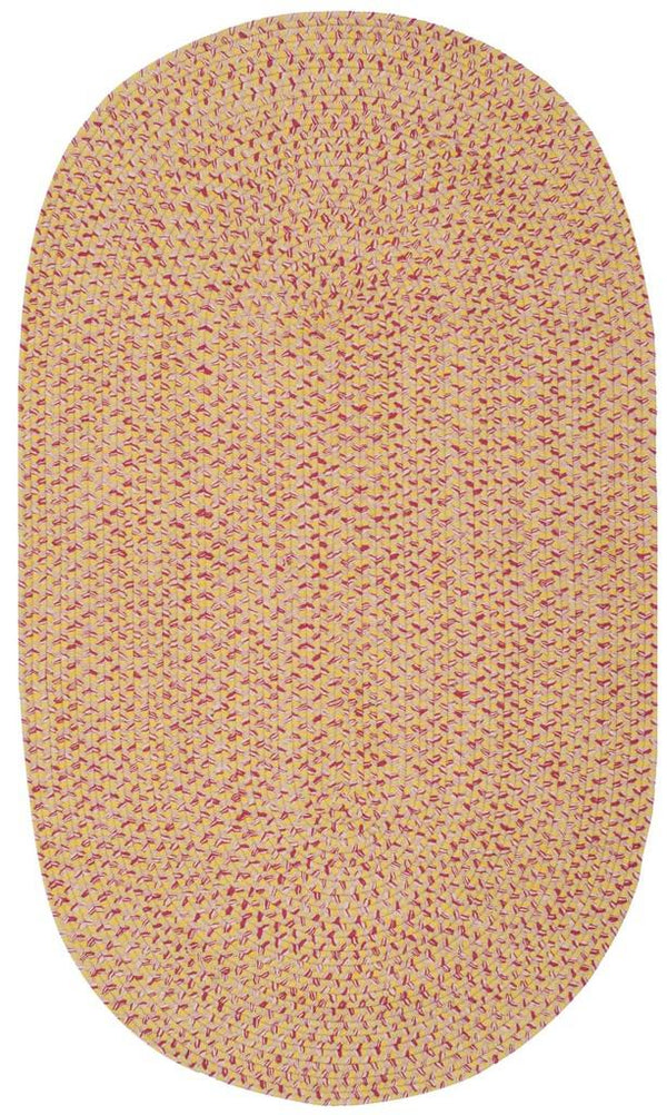 Safavieh Braided BRD164 Rug