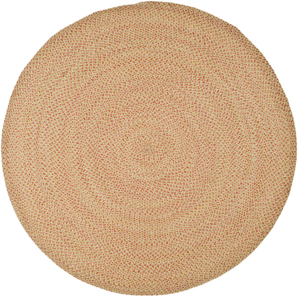 Safavieh Braided BRD164 Rug