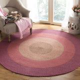 Safavieh Braided BRD165 Rug